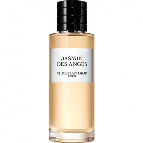 Jasmin des Anges